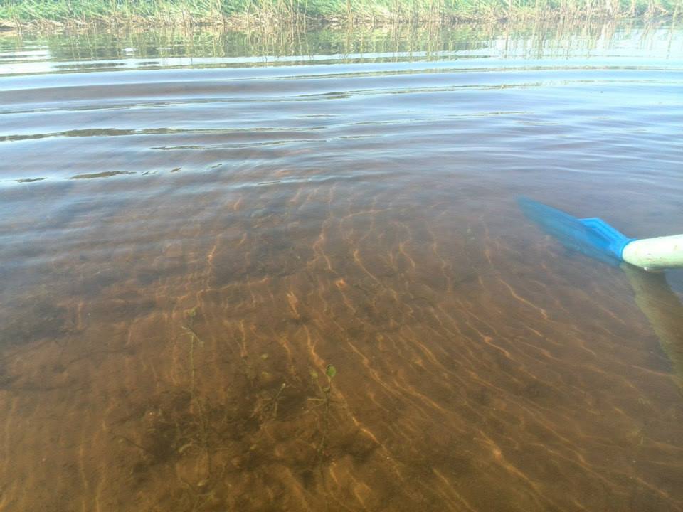 photo_10