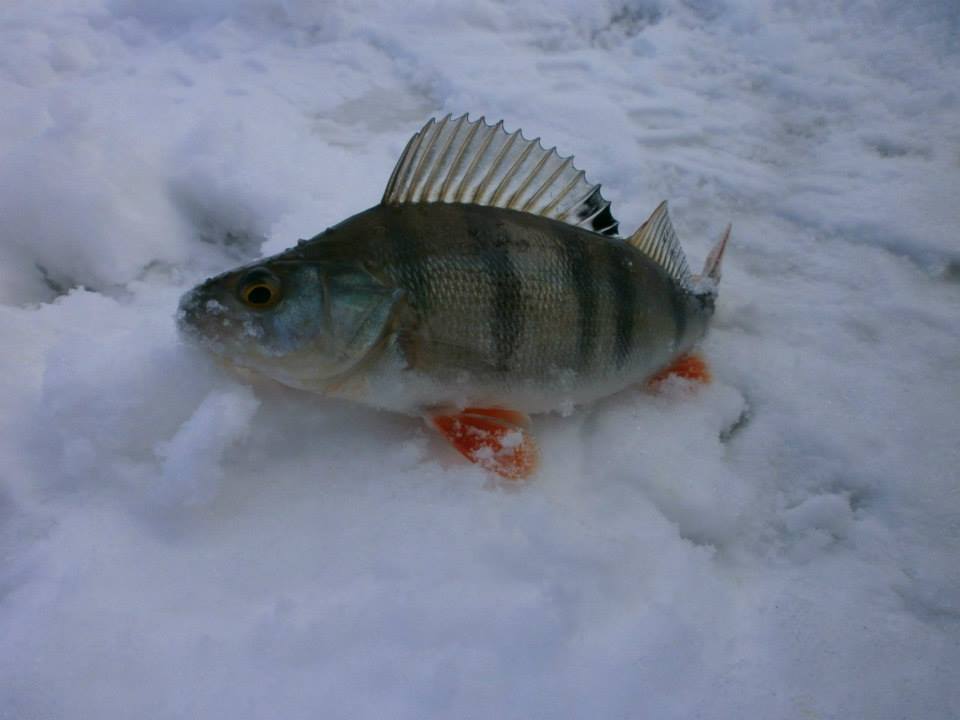 photo_18