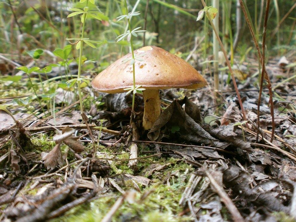 photo_28