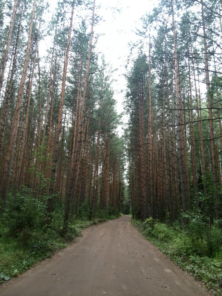 photo_7